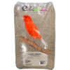 Alpiste Ou Millet Plat 20kg - Ornibird