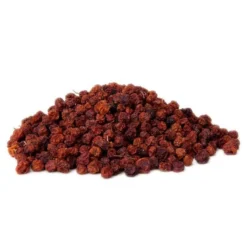 Baie De Sorbier Des Oiseleurs Au Kg - Ornibird -Witte Molen Soldes Magasin baie de sorbier des oiseleurs au kg ornibird 103041250 kg grizo baie du sorbier en fruit seche dont les becs crochus indigenes e 2