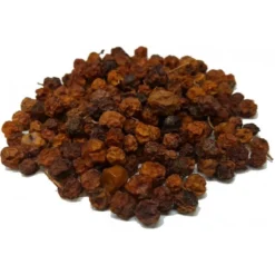 Baie De Sorbier Des Oiseleurs Au Kg - Ornibird -Witte Molen Soldes Magasin baie de sorbier des oiseleurs au kg ornibird 103041250 kg grizo baie du sorbier en fruit seche dont les becs crochus indigenes e 3