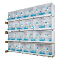 Batteries De 12 Cages 58x30x36 - Modèle Victoria - New Canariz