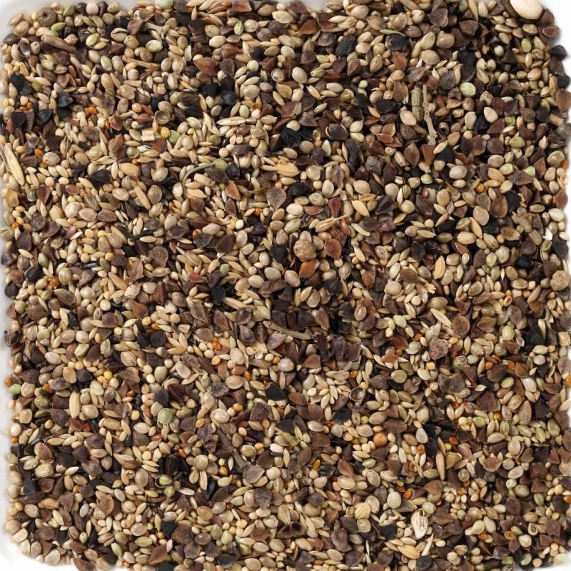 N°71 Agapornis Premium 20kg - Deli Nature 2 N°71 Agapornis Premium 20kg - Deli Nature – Image 2