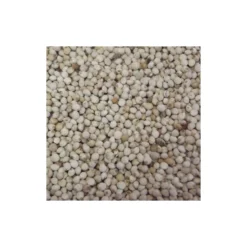 Deli Nature Perilla Blanc Au Kg - Ornibird -Witte Molen Soldes Magasin perilla blanc au kg ornibird 003736 kg deli nature les graines de perilla contiennent environ 25 de lipides dont 65 dacide alpha 3