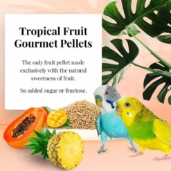 Devant -Witte Molen Soldes Magasin tropical fruit gourmet pellets perruche 18kg lafebers lf52632 lafebers le lafeber gourmet pellets tropical fruit perruche est un 1