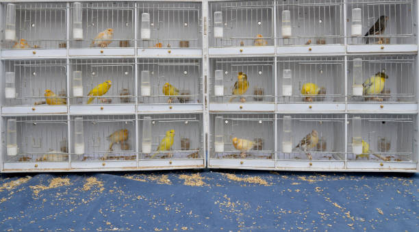 Devant -Witte Molen Soldes Magasin banner832